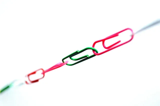 Pacifier Clips