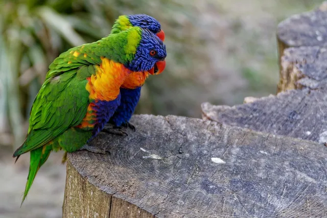 Load image into Gallery viewer, Rainbow Teether
