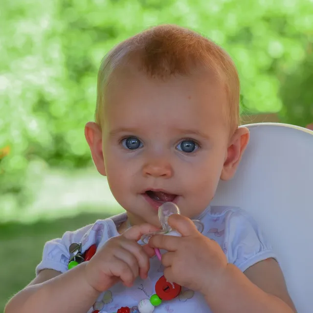 Load image into Gallery viewer, Bibs Soother